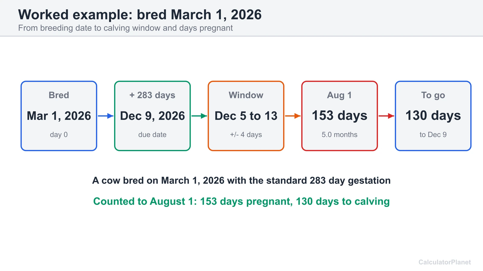Worked cow gestation example: bred March 1, 2026 calves around December 9, 2026 after 283 days