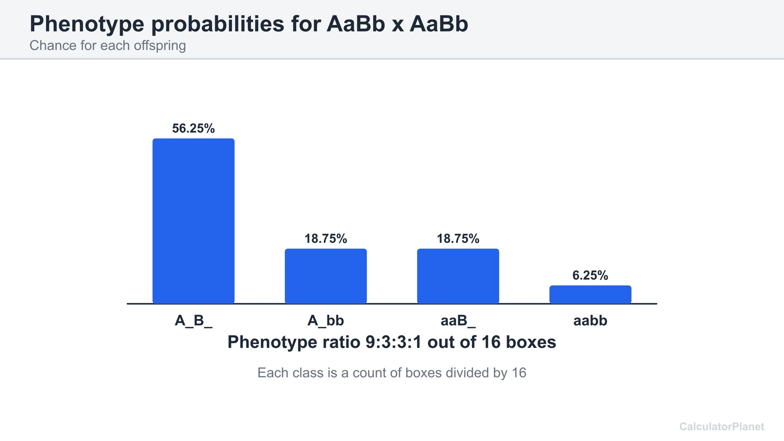 Bar chart of phenotype chances 56.25, 18.75, 18.75 and 6.25 percent for AaBb x AaBb