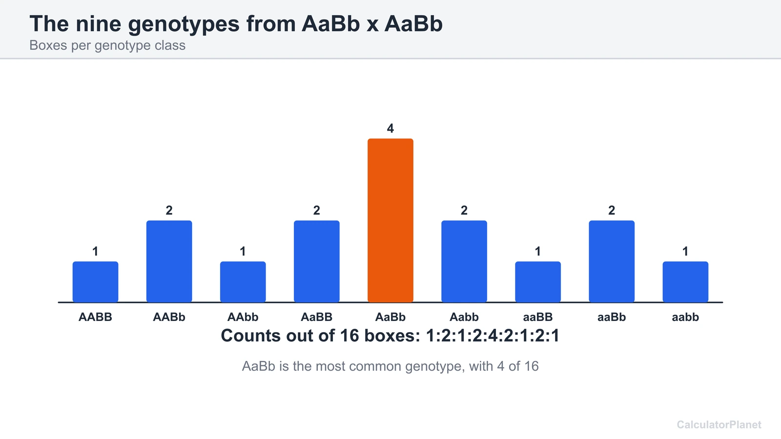 Bar chart of the nine genotype classes from AaBb x AaBb with counts 1, 2, 1, 2, 4, 2, 1, 2, 1