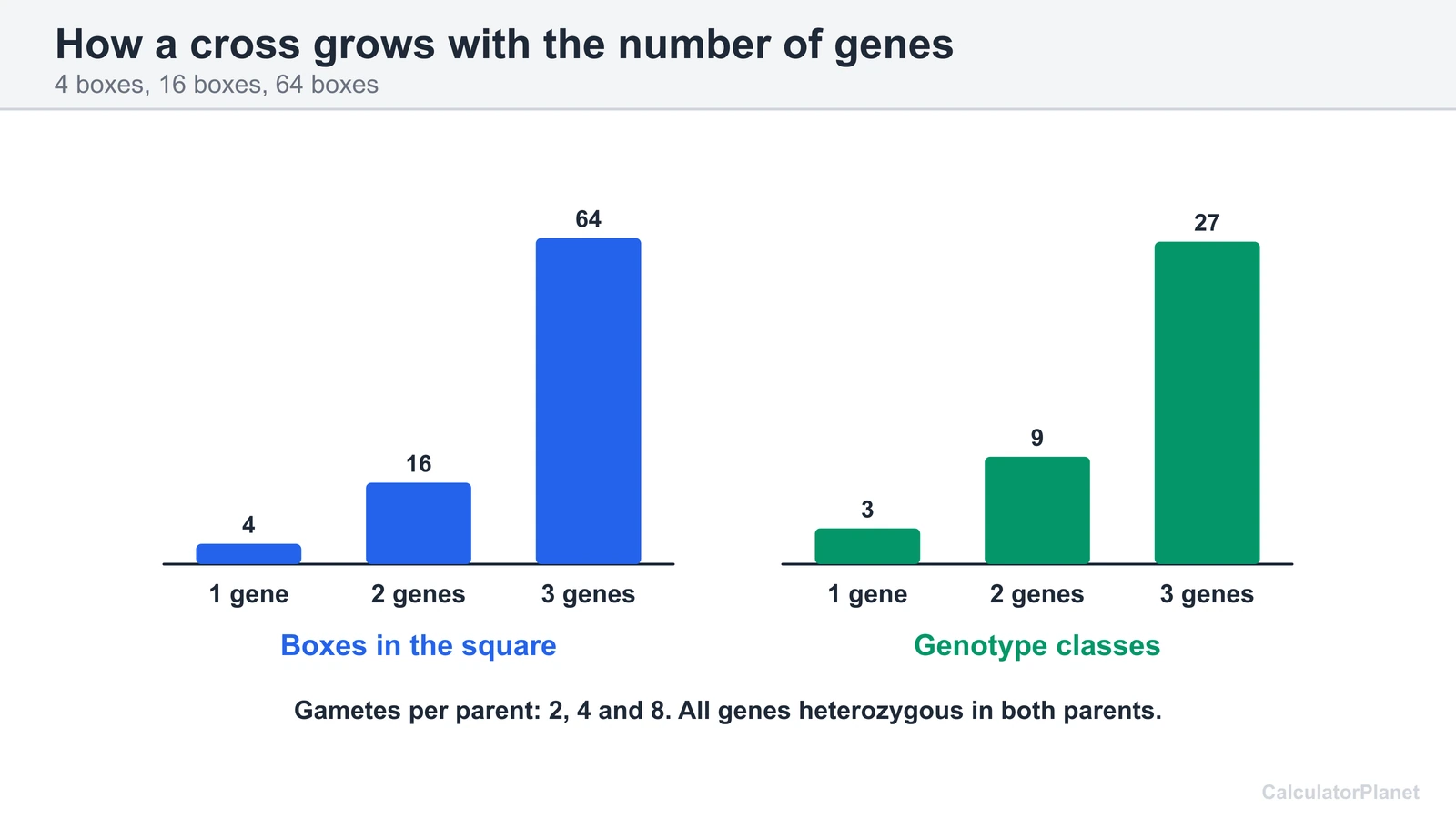 Bar charts of Punnett square boxes 4, 16 and 64 and genotype classes 3, 9 and 27 for one to three genes
