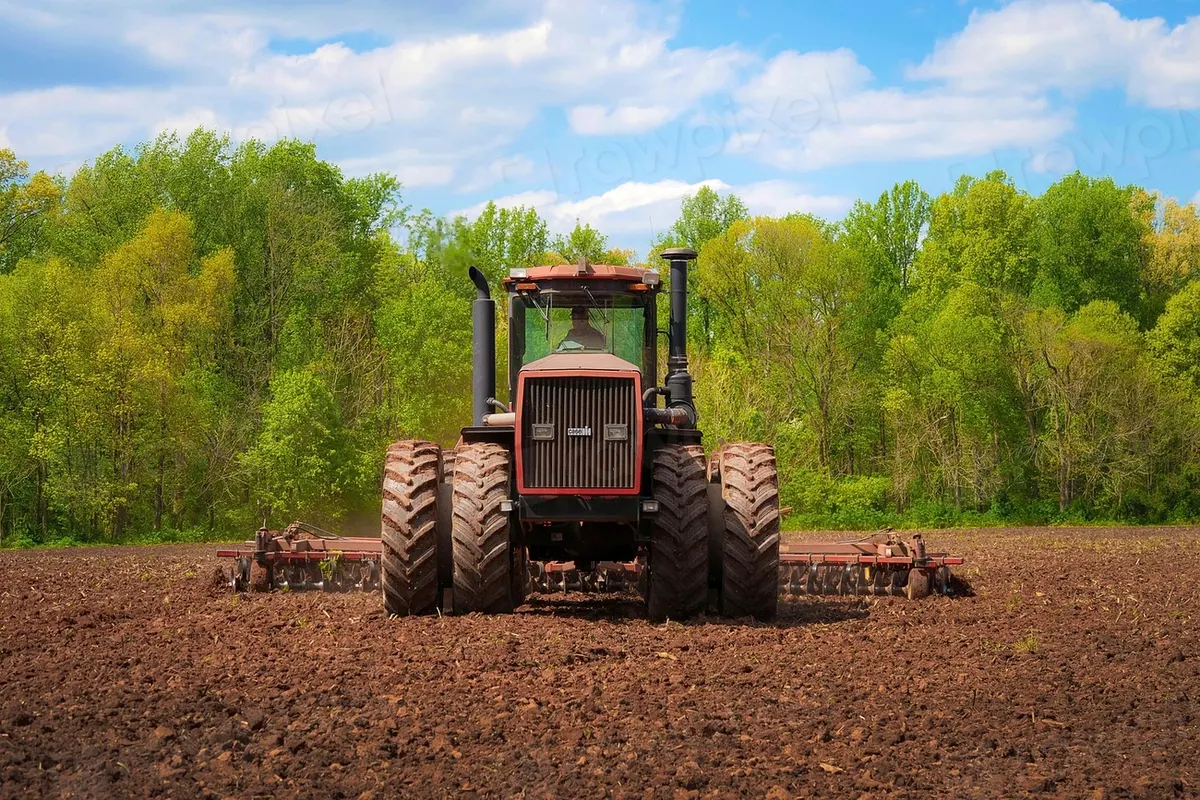 Photograph representing agriculture